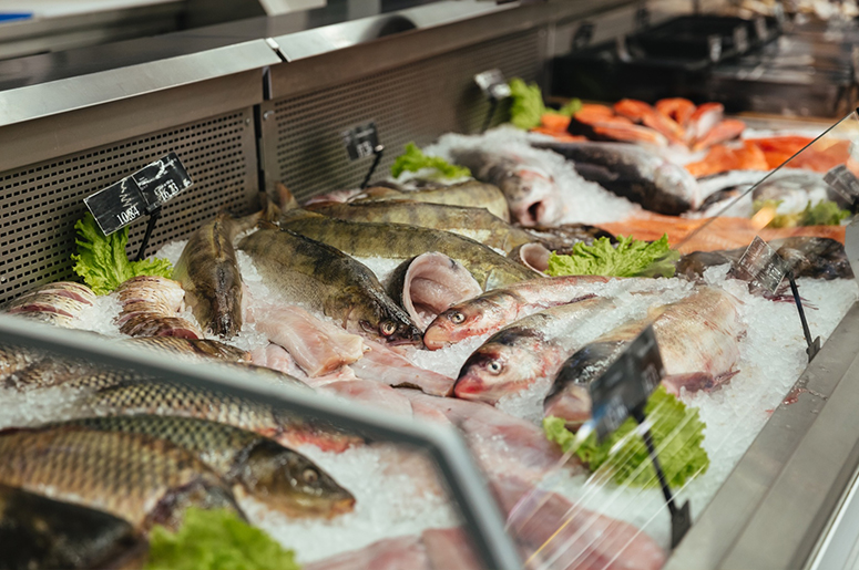 Fishermanseafoodcompany