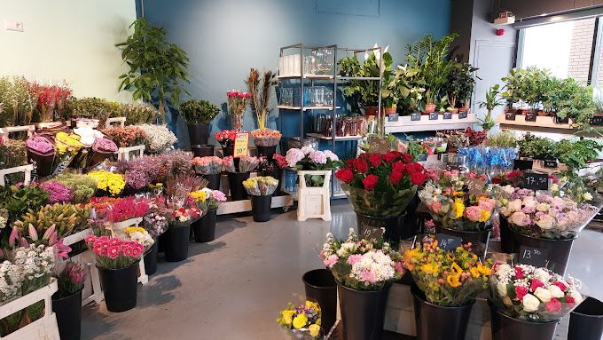 V&B Bloemen en planten | winkelcentrum Westwijk Amstelveen