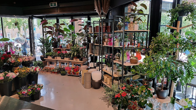 V&B Bloemen en planten | winkelcentrum Westwijk Amstelveen